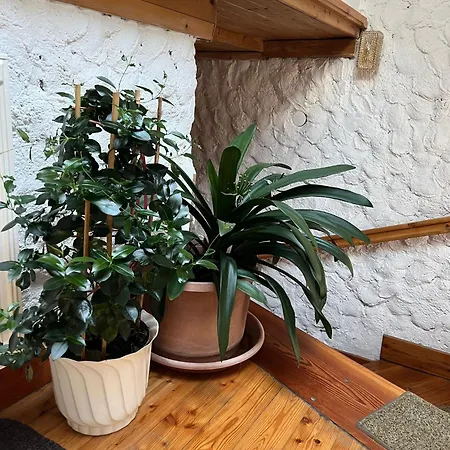 Feriegård Biohof Goelly