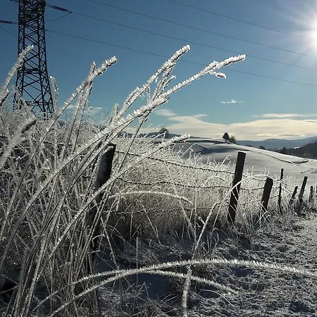 Biohof Goelly Feriegård Neumarkt in Steiermark
