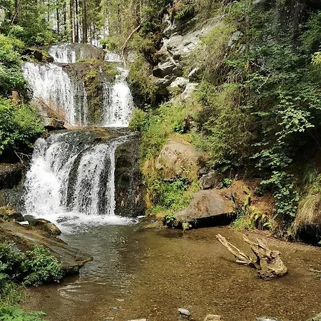 Biohof Goelly Feriegård *