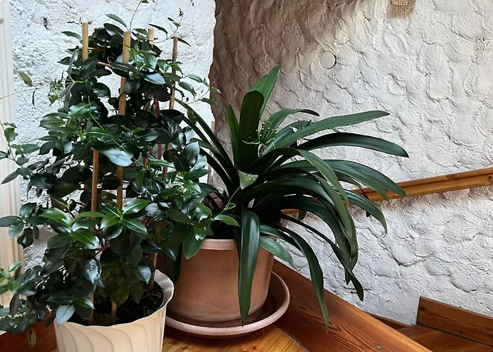 Vakantieboerderij Biohof Goelly