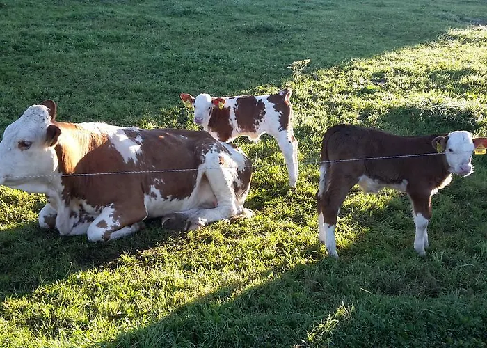 Biohof Goelly Vakantieboerderij