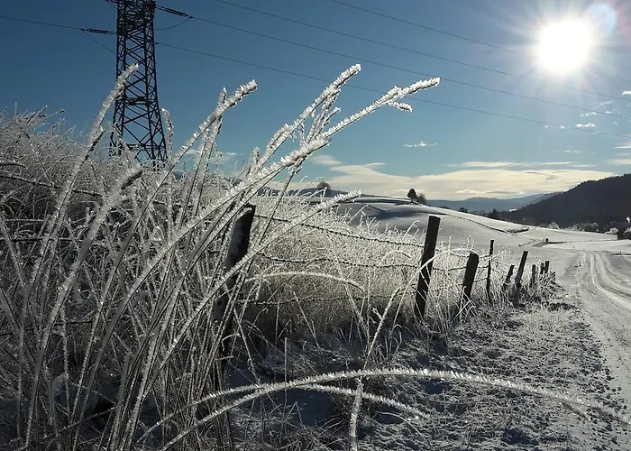 Biohof Goelly Фермерский дом Neumarkt in Steiermark