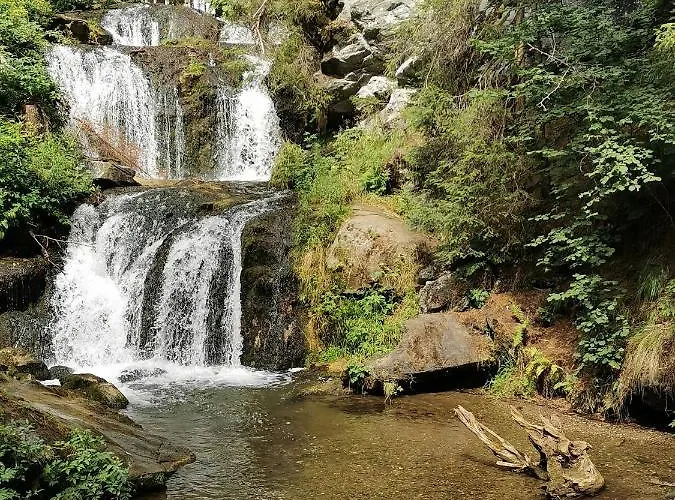 Biohof Goelly Alloggio per agriturismo *